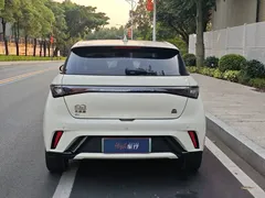 2023 BYD Dolphin 420km Fashion, белый — фото 6