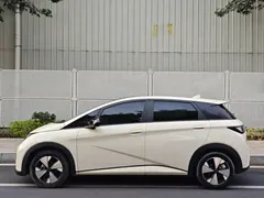 2023 BYD Dolphin 420km Fashion, белый — фото 8