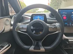 2023 BYD Dolphin 420km Fashion, белый — фото 16