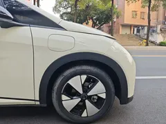 2023 BYD Dolphin 420km Fashion, белый — фото 36