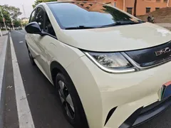 2023 BYD Dolphin 420km Fashion, белый — фото 37