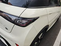 2023 BYD Dolphin 420km Fashion, белый — фото 38