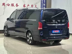 2021 Mercedes-Benz V-Class V 260 L Luxury, синий — фото 4