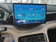 2021 BYD PLUS DM-i 110KM PLUS — фото 10