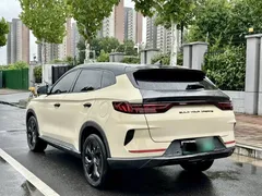 2021 BYD PLUS DM-i 110KM PLUS — фото 11