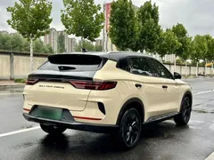 2021 BYD PLUS DM-i 110KM PLUS — фото 12