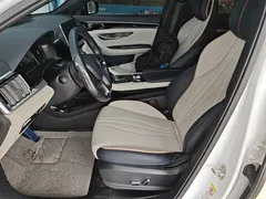 2021 BYD PLUS DM-i 110KM PLUS — фото 15