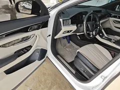 2021 BYD PLUS DM-i 110KM PLUS — фото 17