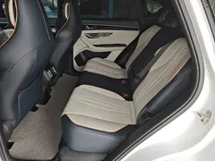 2021 BYD PLUS DM-i 110KM PLUS — фото 19