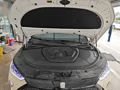 2021 BYD PLUS DM-i 110KM PLUS — фото 22