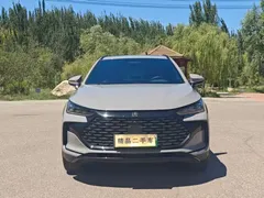 2025 BYD Tang DM-i 175KM — фото 2