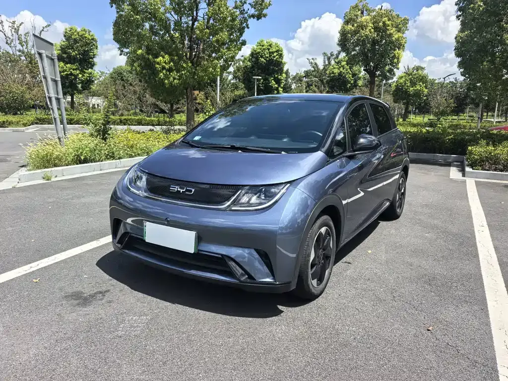 2025 BYD 420km
