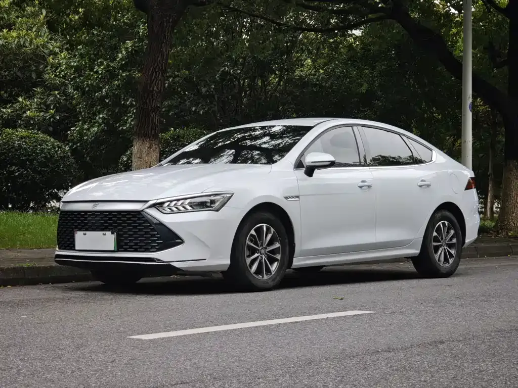 2024 BYD Qin PLUS DM-i 55KM
