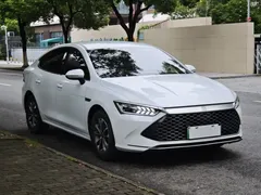 2024 BYD Qin PLUS DM-i 55KM, белый — фото 3