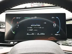 2024 BYD Qin PLUS DM-i 55KM, белый — фото 12