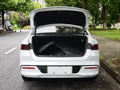 2024 BYD Qin PLUS DM-i 55KM, белый — фото 13