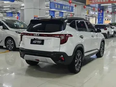 2023 Kia Seltos 1.5L CVT Luxury, белый — фото 10