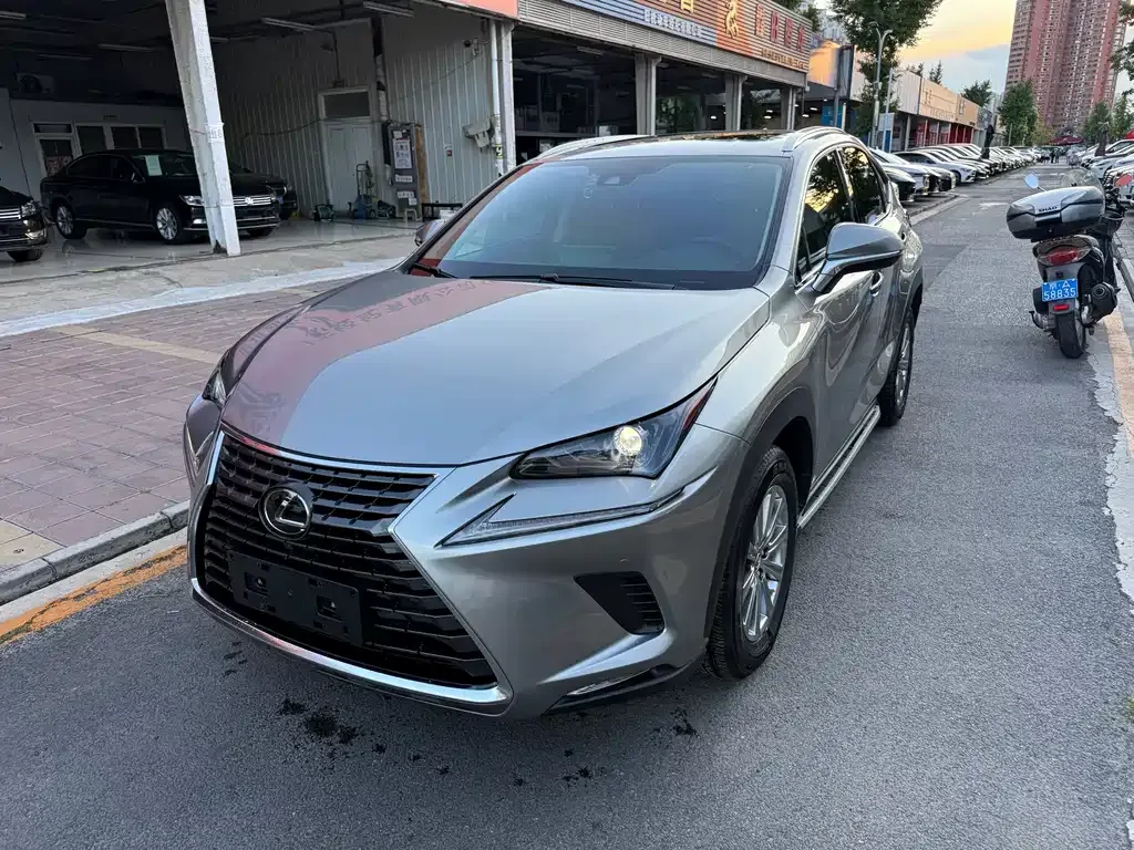 2020 Lexus NX 200 Fashion VI