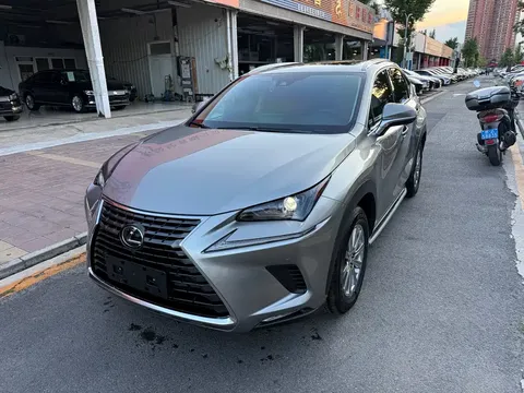 2020 Lexus NX 200 Fashion VI