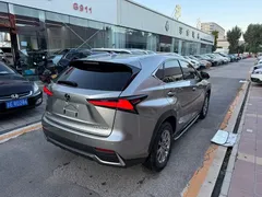 2020 Lexus NX 200 Fashion VI — фото 3