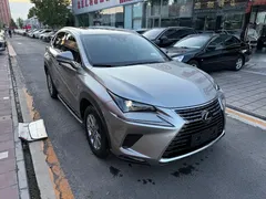 2020 Lexus NX 200 Fashion VI — фото 4