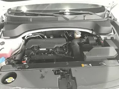 2021 Kia Sportage 2.0L Challenge, белый — фото 10