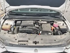 2021 BYD Qin PLUS 55KM, белый — фото 12