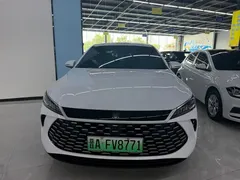 2025 BYD Seal 05 PLUS DM-i 55KM, белый — фото 2