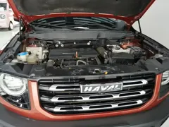 2021 Haval Dargo 1.5T DCT 2WD — фото 20