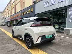 2025 BYD Seagull 305km, белый — фото 9