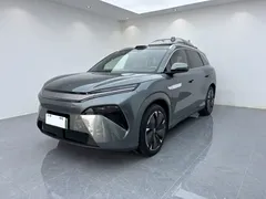 2025 BYD Tang L 175KM — фото 1