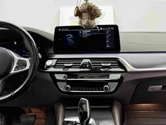 2021 BMW 5 Series 535Le Pioneer M, чёрный — фото 13