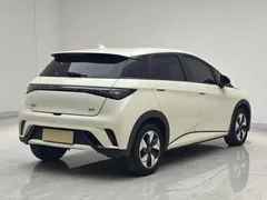 2025 BYD Dolphin 420km Freedom, белый — фото 5