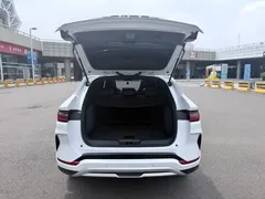 2025 BYD Song PLUS EV 520km Luxury, белый — фото 10