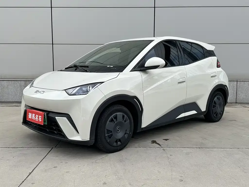 2024 BYD Seagull Honor 305km Vitality