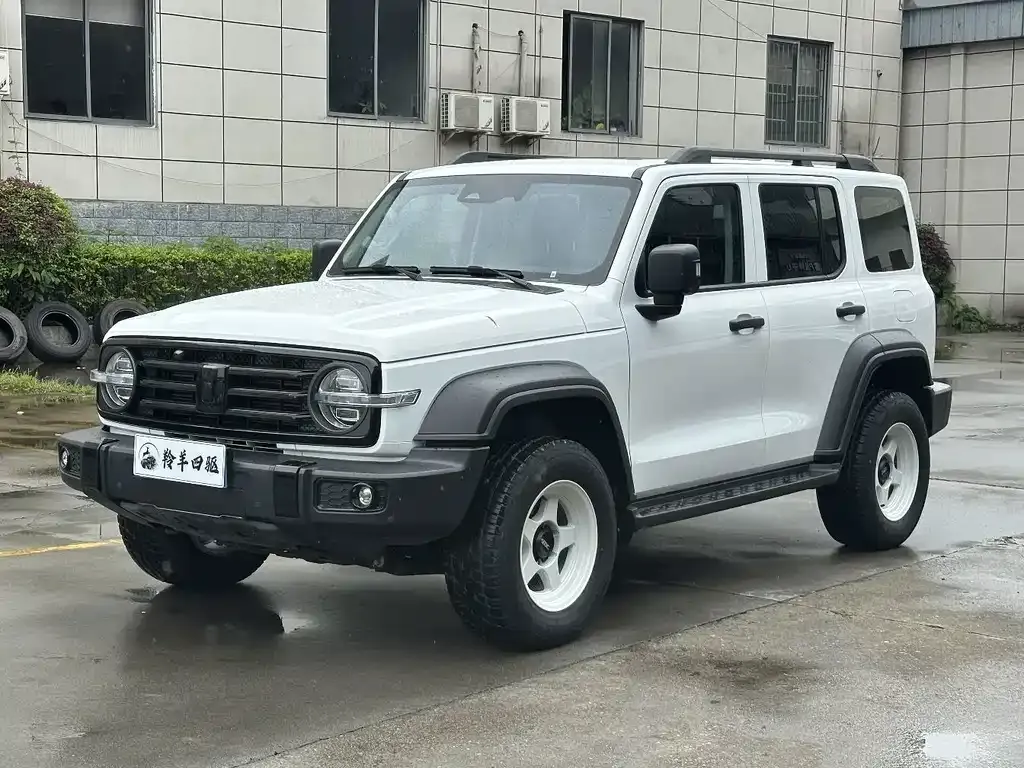 2021 Tank 300 2.0T