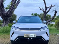 2024 BYD Yuan UP EV 401km Exceed — фото 2