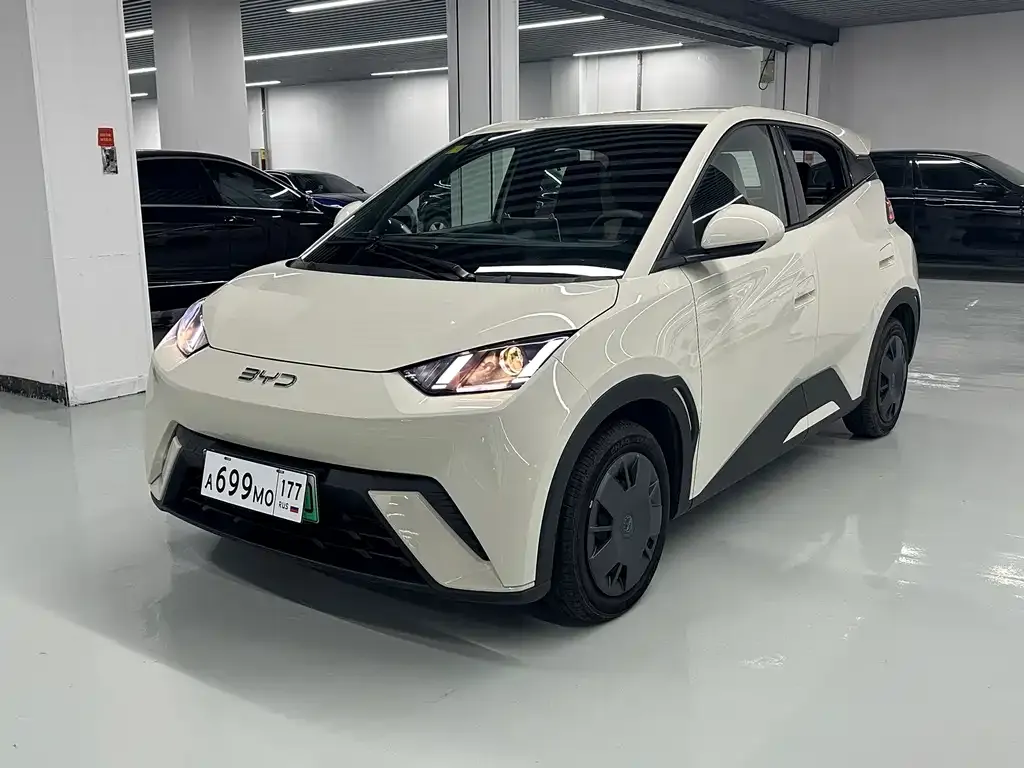 2025 BYD Seagull 305km