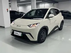 2025 BYD Seagull 305km — фото 1