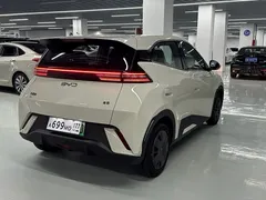 2025 BYD Seagull 305km — фото 8