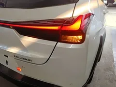 2020 Lexus UX 260h, белый — фото 8