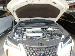 2020 Lexus UX 260h, белый — фото 20