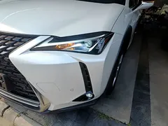 2020 Lexus UX 260h, белый — фото 24