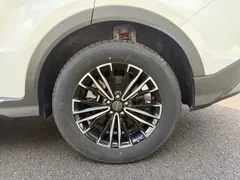 2023 Jetour X70 PLUS 1.5T MT 5-seat, белый — фото 8