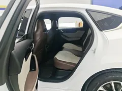 2024 BYD Qin PLUS 55KM, белый — фото 11
