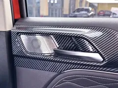2021 Tank 300 Off-road 2.0T Conqueror — фото 10