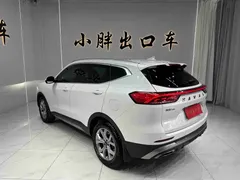 2021 Haval H6 1.5T AT Champion, белый — фото 6