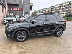 2023 Kia Seltos 1.5L CVT Luxury, чёрный — фото 4