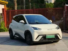 2023 BYD Seagull, белый — фото 3