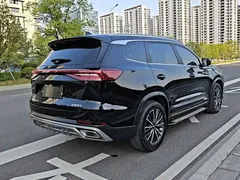 2022 Chery 8 PRO 290T 2WD 5, чёрный — фото 18